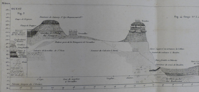 Cuvier and Brongniart fig