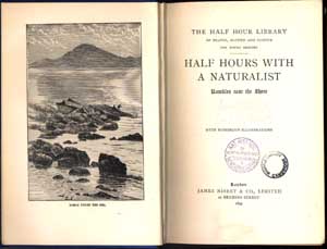  rambles near the shore / by J.G. Wood (London, James Nisbett & Co., 1899) STORE 136:45