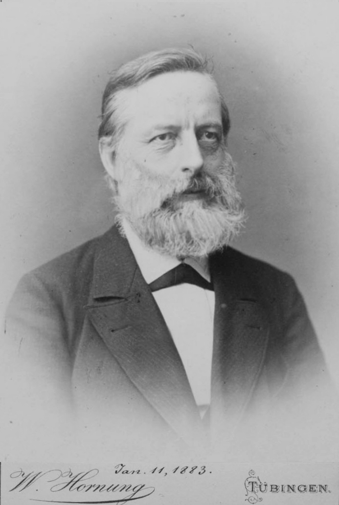 Julius Lothar Meyer (1830-1895)