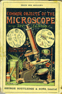 Common objects of the microscope / by J.G. Wood (London, George Routledge and Sons, 1890) STORE 47:206