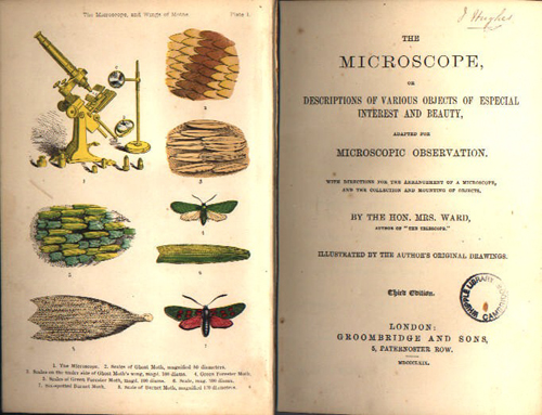  or, Descriptions of various objects of especial interest and beauty, adapted for microscopic observation with directions for the arrangement of a microscope, and the collection and mounting of objects / by Mrs Ward, 3rd ed. (London: Groomb