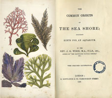  including hints for an aquarium / by J.G. Wood (London, G. Routledge & Co., 1857) STORE 176:16