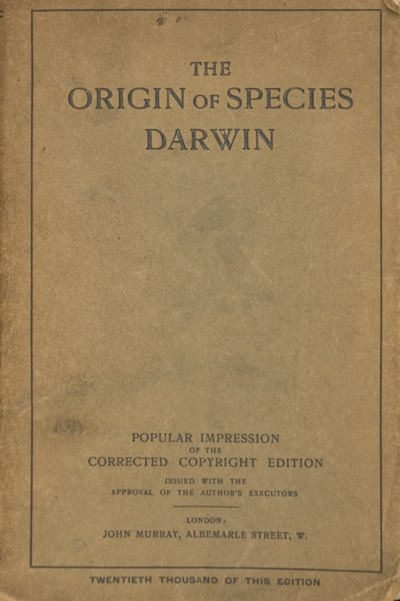 origin large