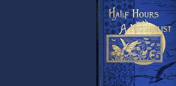 Front cover of blue cloth-bound edition of 'half hours with a naturalist'