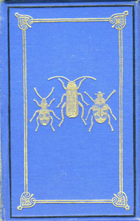 Common British beetles / by J.G. Wood (London, Routledge & Sons, 1875) STORE 176:15
