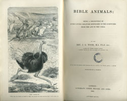 Bible animals: being a description of every living creature mentioned in the scriptures from the ape to the coral / by J.G. Wood (London, Longmans, Green, Reader, and Dyer, 1869) STORE 179:28