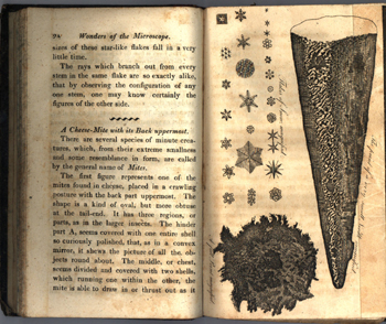 The wonders of the microscope: or, An explanation of the wisdom of the Creator in objects comparatively minute: adapted to the understanding of young persons (London: printed for Richard Phillips, 1811) STORE 26:27