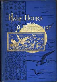Half-hours with a naturalist: rambles near the shore / by J.G. Wood (London, James Nisbett & Co., 1899) STORE 136:45