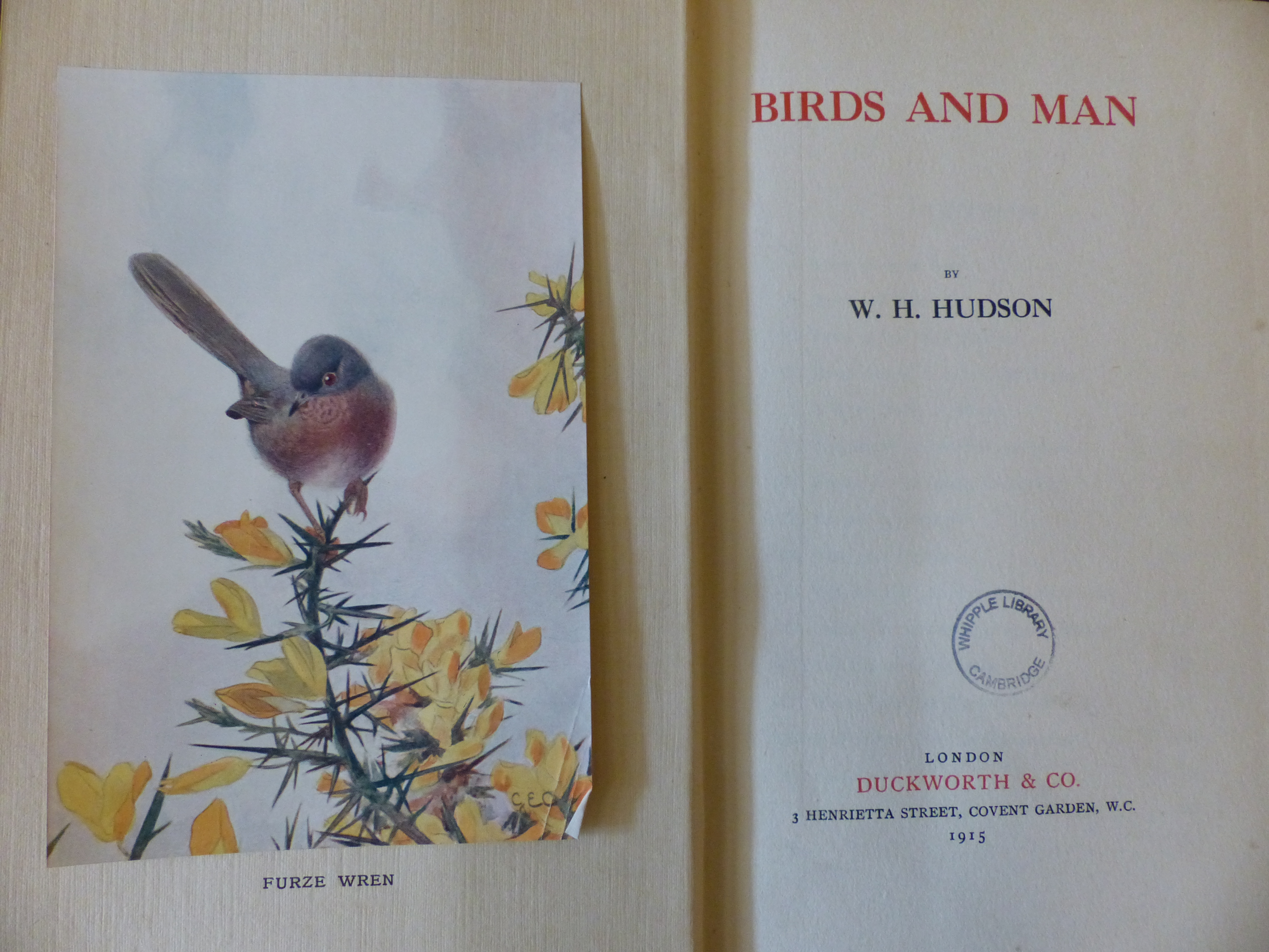 Birds and man / W.H. Hudson STORE 211:58