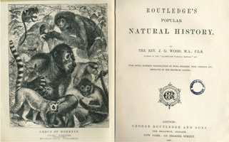Routledge's popular natural history / by J.G. Wood (London, Routledge and Sons, 1867) STORE 176:14