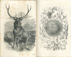 Natural history / by J.G. Wood (London, George Routledge and Sons, 1854) STORE 176:17