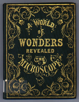 A world of wonders revealed by the microscope: a book for young students / by Mrs W. [i.e. Mrs Ward] (London: Groombridge and Sons, 1858) STORE 200:14.