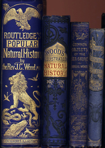 Spines of books by the Rev. J.G. Wood in the Whipple Library collection