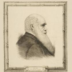 Charles Darwin, drawn in profile with a frame.