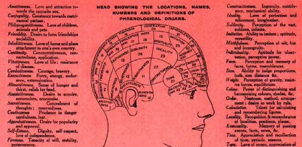 Flier showing the 'phrenological organs' of the head